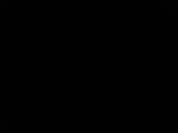 trinislim1868