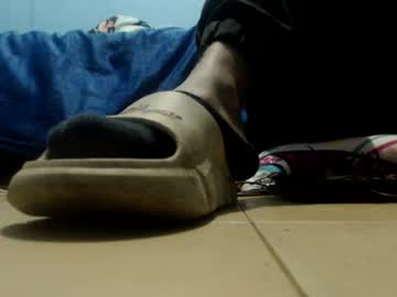 dracaris_grey1