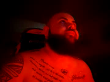 stallion_bear