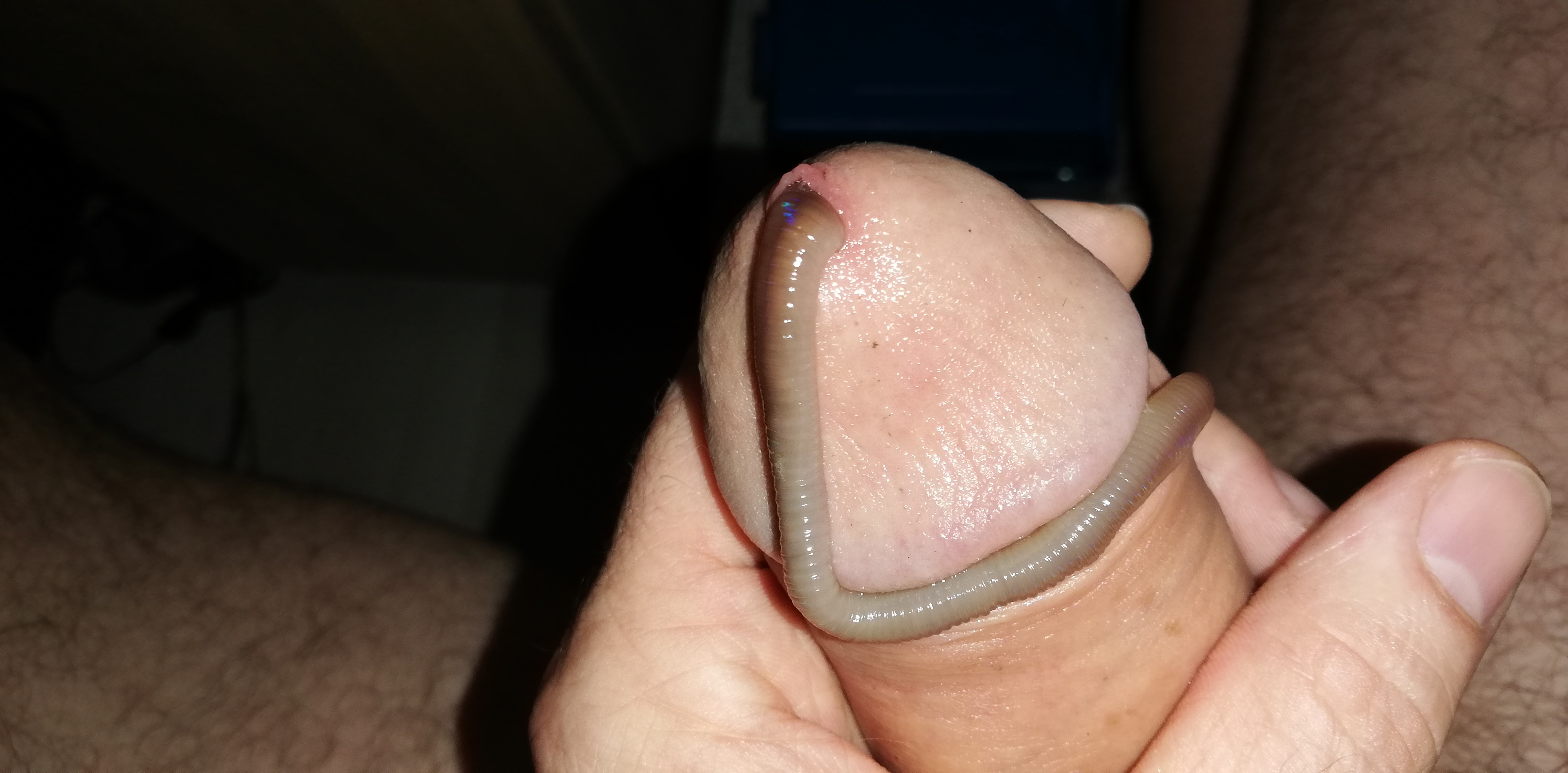 Game with worm — 10