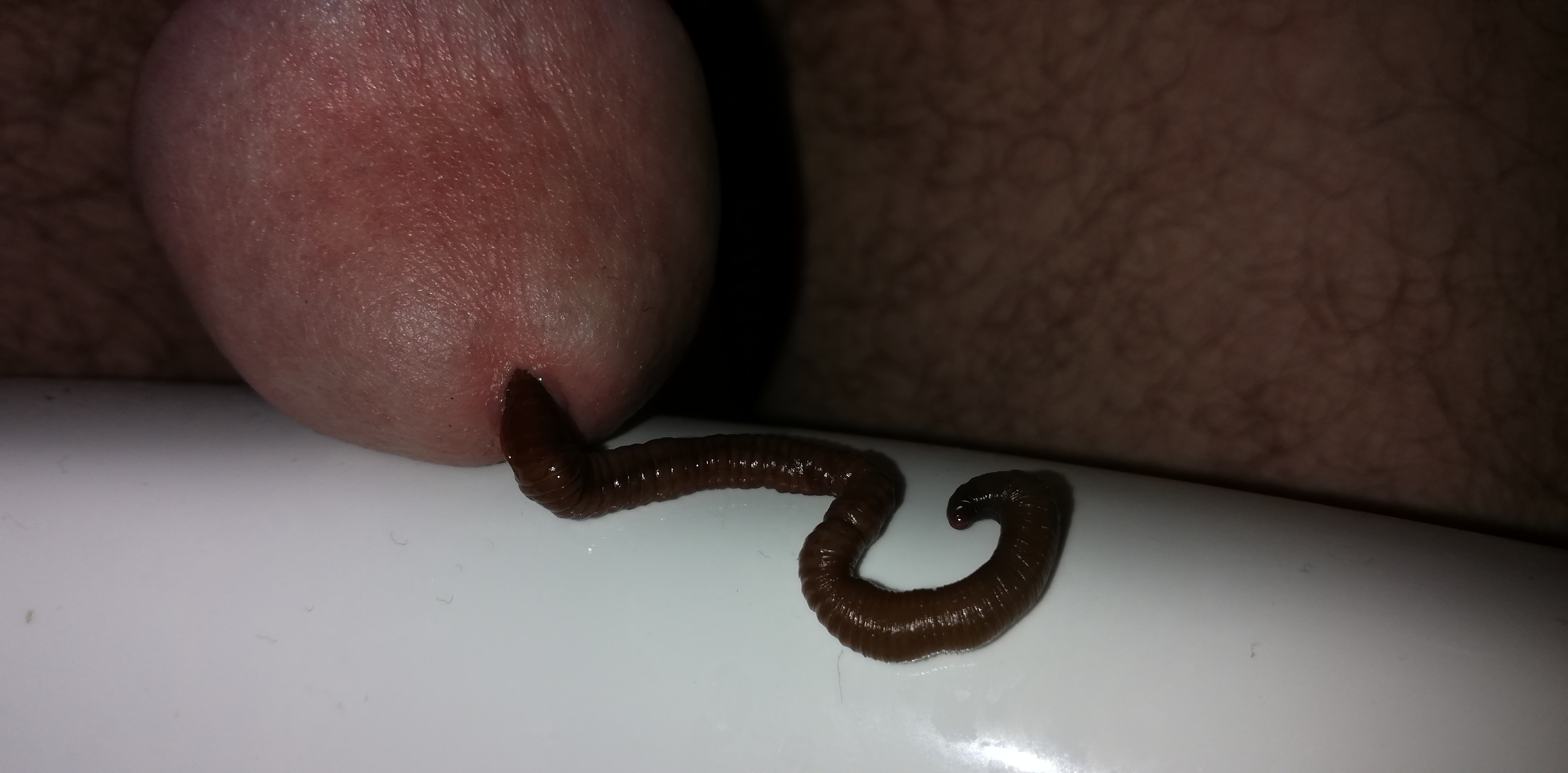 Game with worm — 27