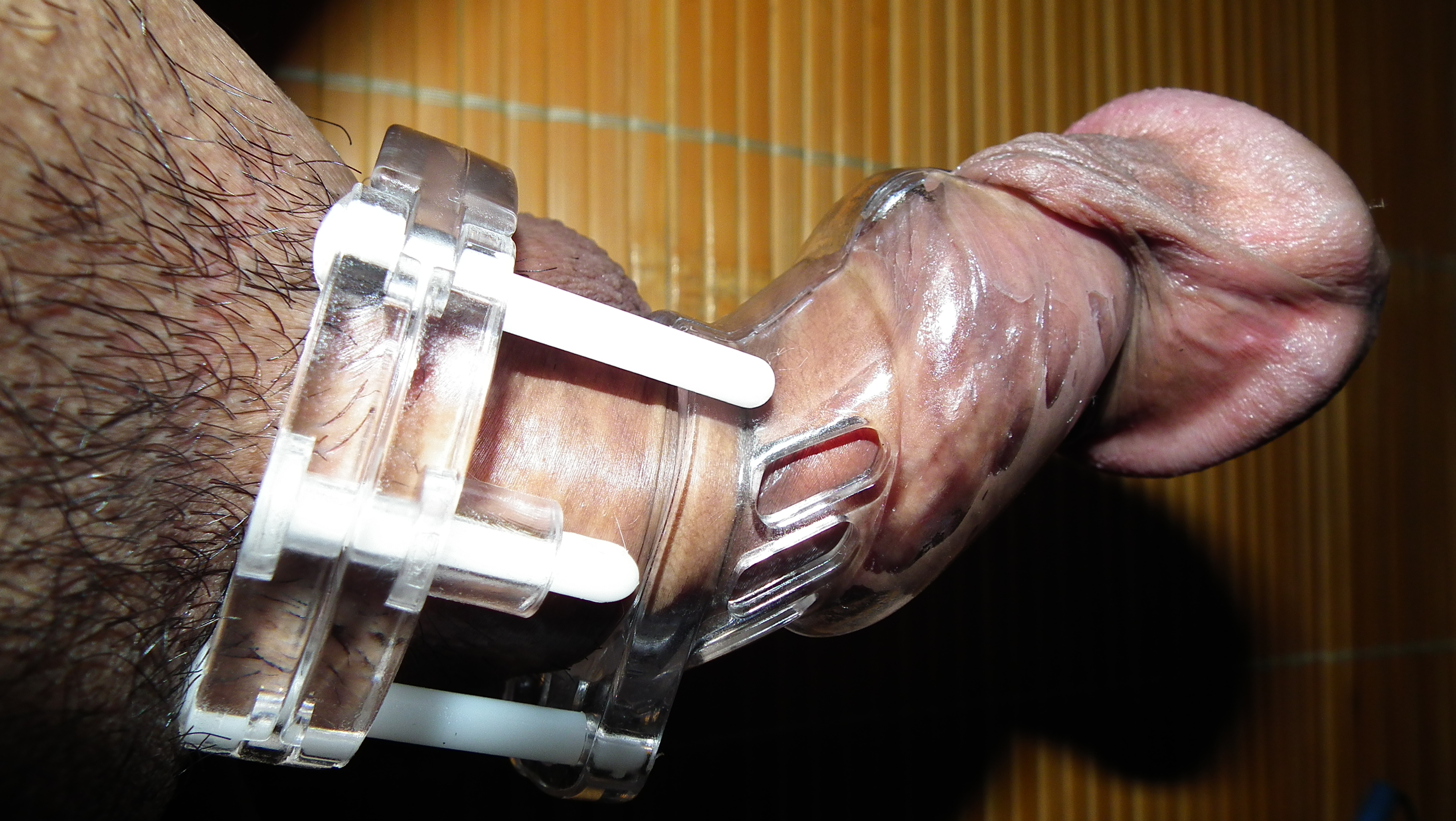 Plastic and metal chastity belt — 15