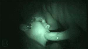 Throats, cum, drool and all mouthrelated — 60