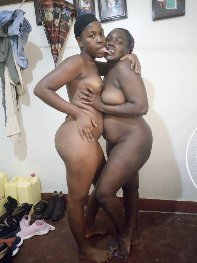 african dykes — 26