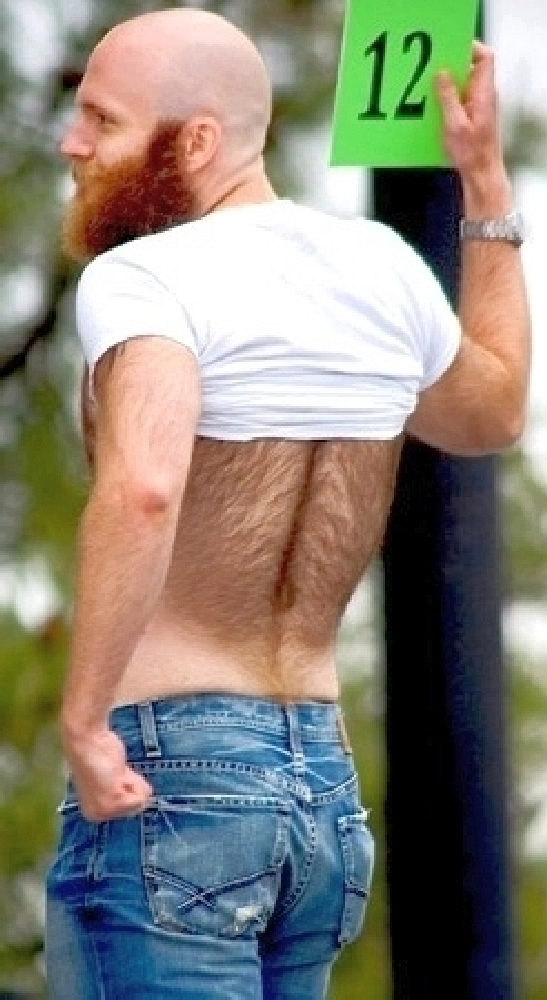 bears and very hairy men — 16